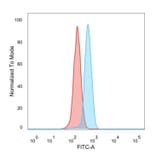 Flow Cytometry - Anti-PRMT6 Antibody [PCRP-PRMT6-2C9] (A249704) - Antibodies.com