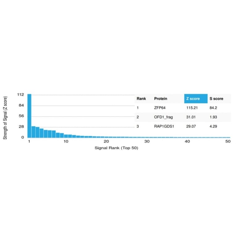 Protein Array - Anti-ZFP64 Antibody [PCRP-ZFP64-1H2] (A249721) - Antibodies.com