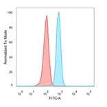 Flow Cytometry - Anti-MBNL3 Antibody [PCRP-MBNL3-1D11] (A249725) - Antibodies.com