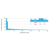 Protein Array - Anti-Prostate Specific Acid Phosphatase Antibody [rACPP/1338] (A278500) - Antibodies.com