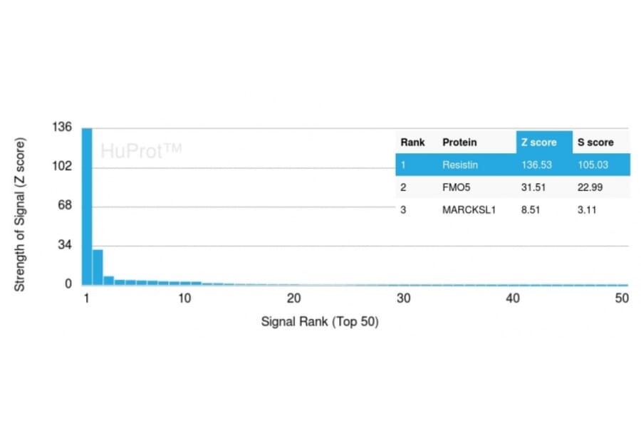 Protein Array - Anti-Resistin Antibody [RETN/4326] (A249744) - Antibodies.com