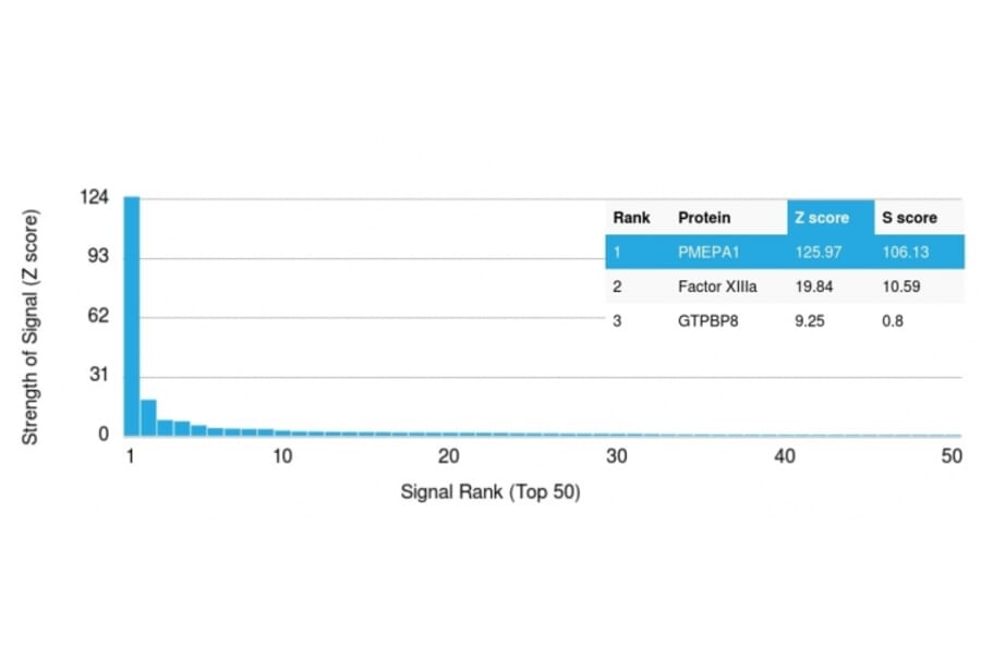 Protein Array - Anti-PMEPA1 Antibody [PMEPA1/2698] (A249757) - Antibodies.com