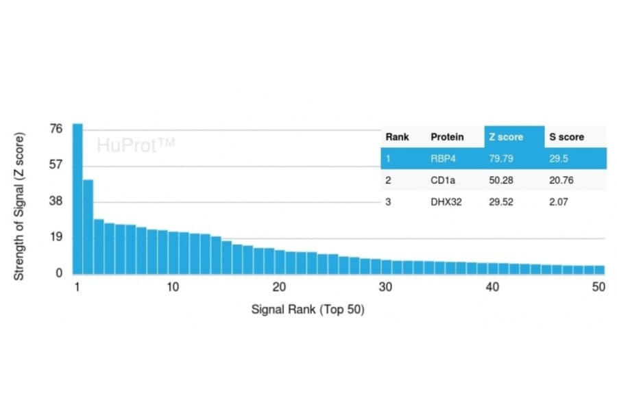 Protein Array - Anti-RBP4 Antibody [RBP4/4314] (A249843) - Antibodies.com