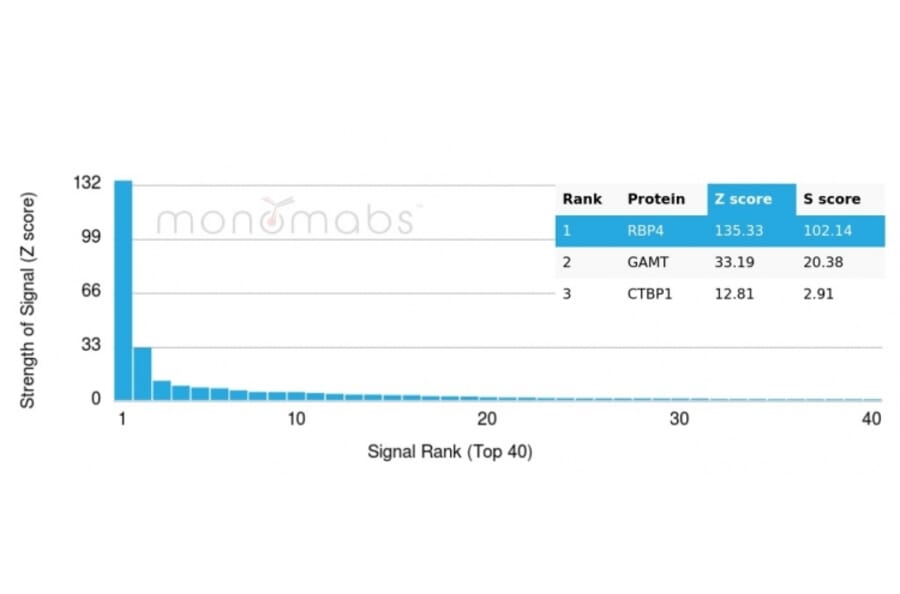 Protein Array - Anti-RBP4 Antibody [RBP4/4316] (A249844) - Antibodies.com