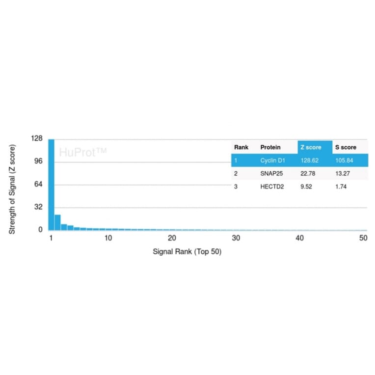Protein Array - Anti-Cyclin D1 Antibody [CCND1/3548] (A249859) - Antibodies.com