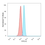 Flow Cytometry - Anti-NF-kB p65 Antibody [PCRP-RELA-2B6] (A249878) - Antibodies.com