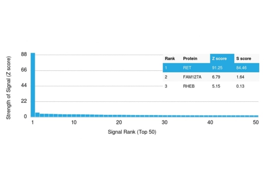 Protein Array - Anti-RET Antibody [RET/2599] (A249878) - Antibodies.com