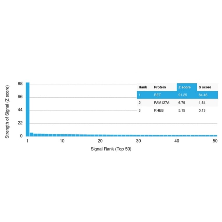 Protein Array - Anti-RET Antibody [RET/2599] (A249878) - Antibodies.com