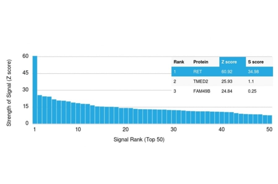 Protein Array - Anti-RET Antibody [RET/2795] (A249881) - Antibodies.com