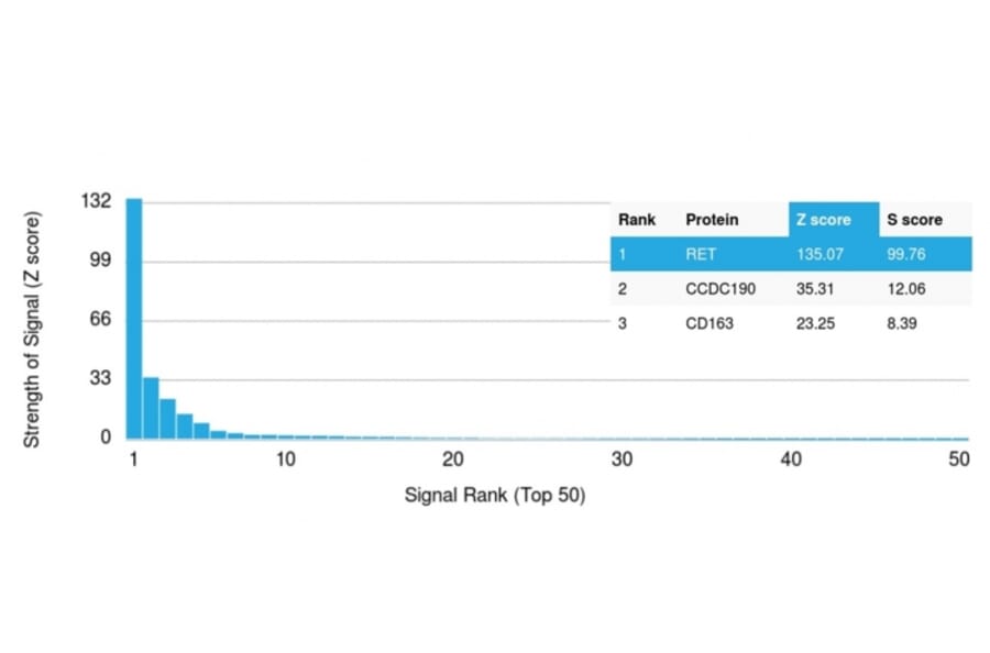 Protein Array - Anti-RET Antibody [RET/2976] (A249882) - Antibodies.com