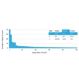 Protein Array - Anti-Bcl-6 Antibody [BCL6/1475] (A249903) - Antibodies.com