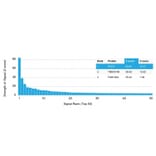 Protein Array - Anti-ROR gamma Antibody [RORC/2942] (A249911) - Antibodies.com