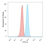 Flow Cytometry - Anti-RXRB Antibody [PCRP-RXRB-2B6] (A249916) - Antibodies.com