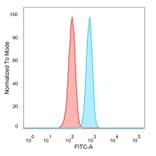 Flow Cytometry - Anti-RXRB Antibody [PCRP-RXRB-2B6] (A249916) - Antibodies.com