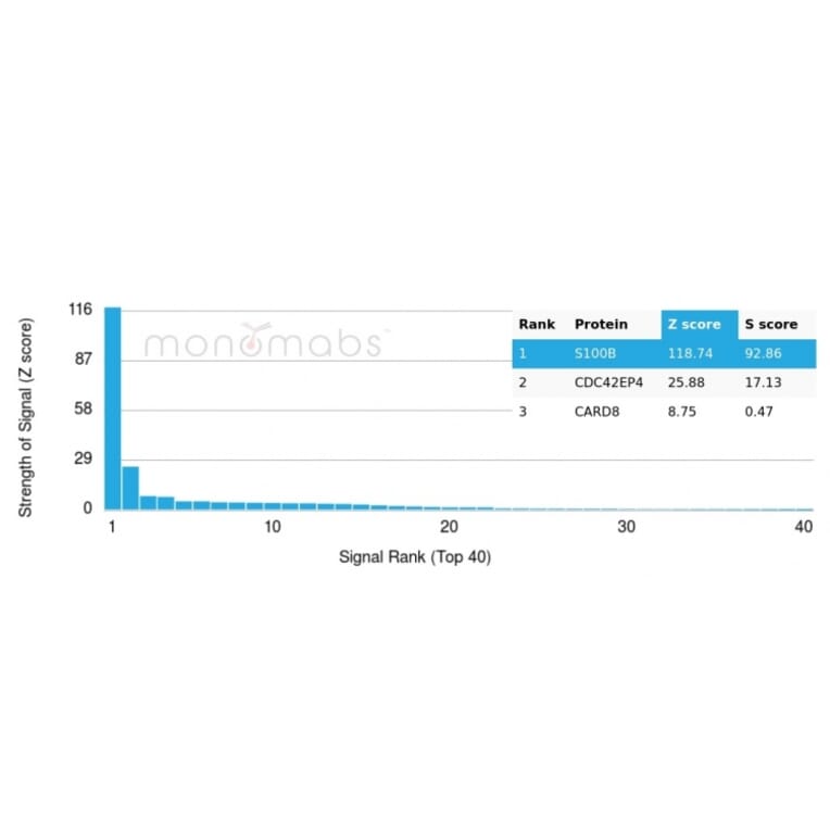 Protein Array - Anti-S100 beta Antibody [S100B/4140] (A249931) - Antibodies.com