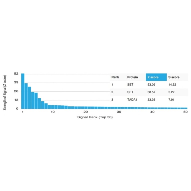 Protein Array - Anti-SET Antibody [PCRP-SET-1C6] (A249959) - Antibodies.com