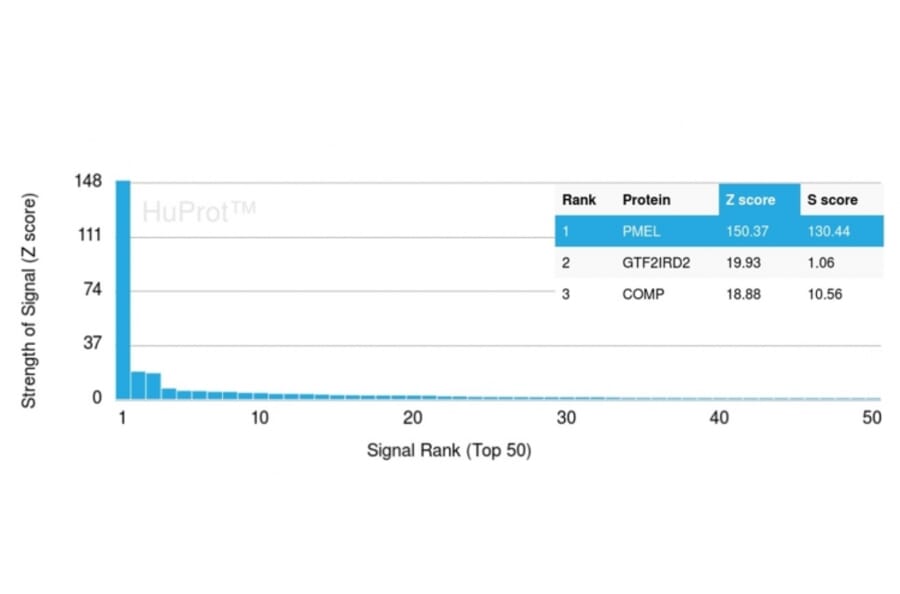 Protein Array - Anti-Melanoma gp100 Antibody [PMEL/2039] (A249974) - Antibodies.com