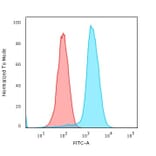 Flow Cytometry - Anti-Fascin Antibody [SPM133] (A249991) - Antibodies.com