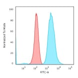 Flow Cytometry - Anti-Fascin Antibody [FSCN1/418] (A249992) - Antibodies.com