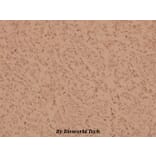 Anti-PKC α (G633) Antibody from Bioworld Technology (BS1577) - Antibodies.com