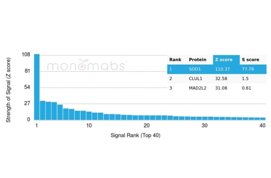 Protein Array - Anti-Superoxide Dismutase 1 Antibody [SOD1/4248] (A249999) - Antibodies.com