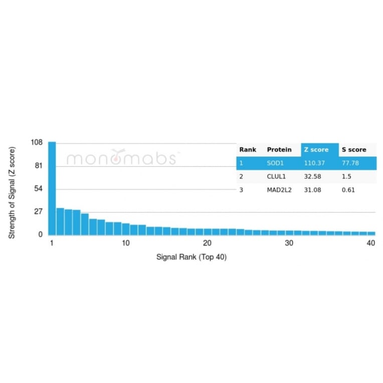 Protein Array - Anti-Superoxide Dismutase 1 Antibody [SOD1/4248] (A249999) - Antibodies.com