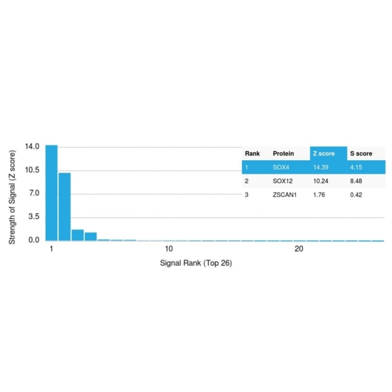 Protein Array - Anti-SOX4 Antibody [SOX4/2540] (A250007) - Antibodies.com