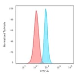 Flow Cytometry - Anti-beta III Spectrin Antibody [SPTBN2/1583] (A250045) - Antibodies.com