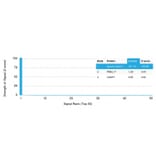 Protein Array - Anti-beta III Spectrin Antibody [SPTBN2/1778] (A250046) - Antibodies.com