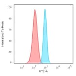 Flow Cytometry - Anti-beta III Spectrin Antibody [SPTBN2/2894R] (A250048) - Antibodies.com