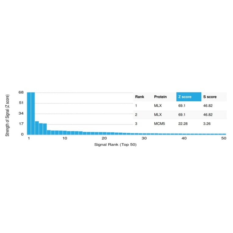 Protein Array - Anti-MLX Antibody [PCRP-MLX-1G8] (A250081) - Antibodies.com