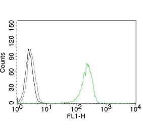 Flow Cytometry - Anti-Transferrin Receptor Antibody [66IG10] (A250093) - Antibodies.com