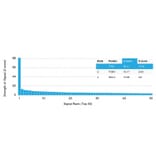 Protein Array - Anti-p53 Antibody [PCRP-TP53-1F7] (A253366) - Antibodies.com