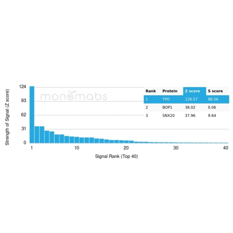 Protein Array - Anti-Thyroid Peroxidase Antibody [TPO/3698] (A250203) - Antibodies.com