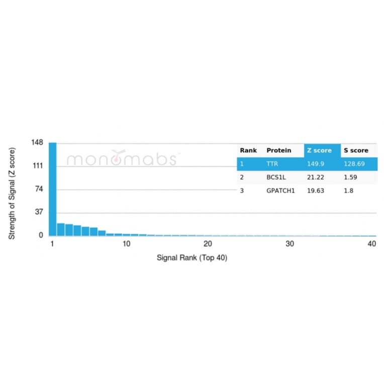 Protein Array - Anti-Transthyretin Antibody [TTR/4292] (A250223) - Antibodies.com