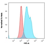 Flow Cytometry - Anti-Thymidylate Synthase Antibody [TYMS/1884] (A250237) - Antibodies.com