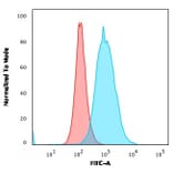 Flow Cytometry - Anti-Thymidylate Synthase Antibody [rTYMS/1884] (A250237) - Antibodies.com