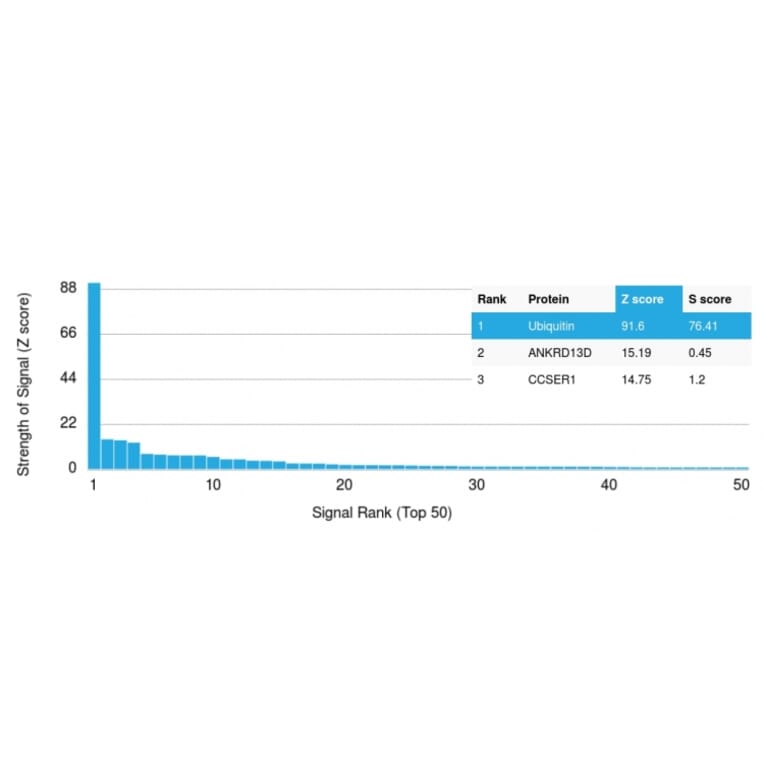 Protein Array - Anti-Ubiquitin Antibody [UBB/1748] (A250260) - Antibodies.com