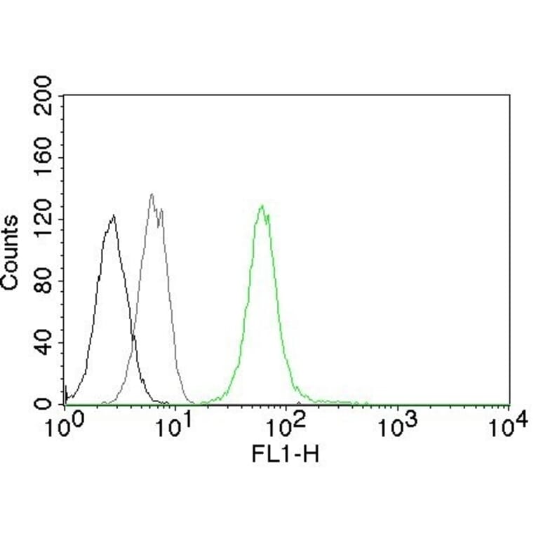 Flow Cytometry - Anti-Vimentin Antibody [VM452] (A250307) - Antibodies.com