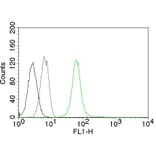 Flow Cytometry - Anti-Vimentin Antibody [VM452] (A250307) - Antibodies.com