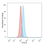 Flow Cytometry - Anti-ZNF408 Antibody [PCRP-ZNF408-1E5] (A250379) - Antibodies.com