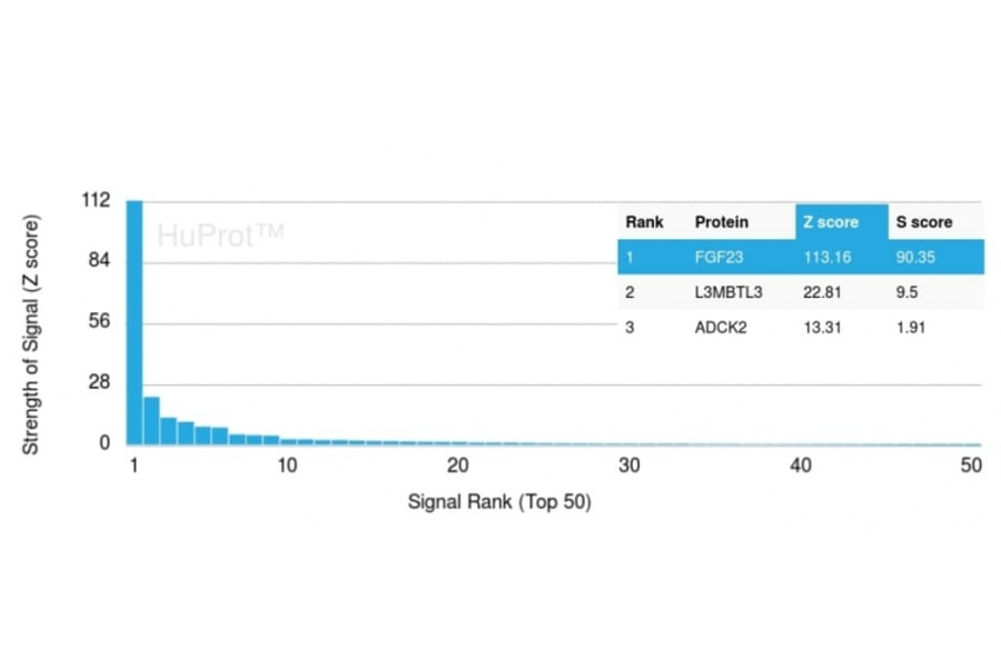 Protein Array - Anti-FGF23 Antibody [FGF23/4163] (A250392) - Antibodies.com