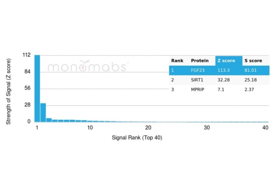 Protein Array - Anti-FGF23 Antibody [FGF23/4168] (A250394) - Antibodies.com