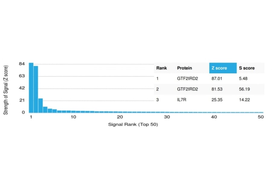 Protein Array - Anti-GTF2IRD2 Antibody [PCRP-GTF2IRD2-1B12] (A250413) - Antibodies.com