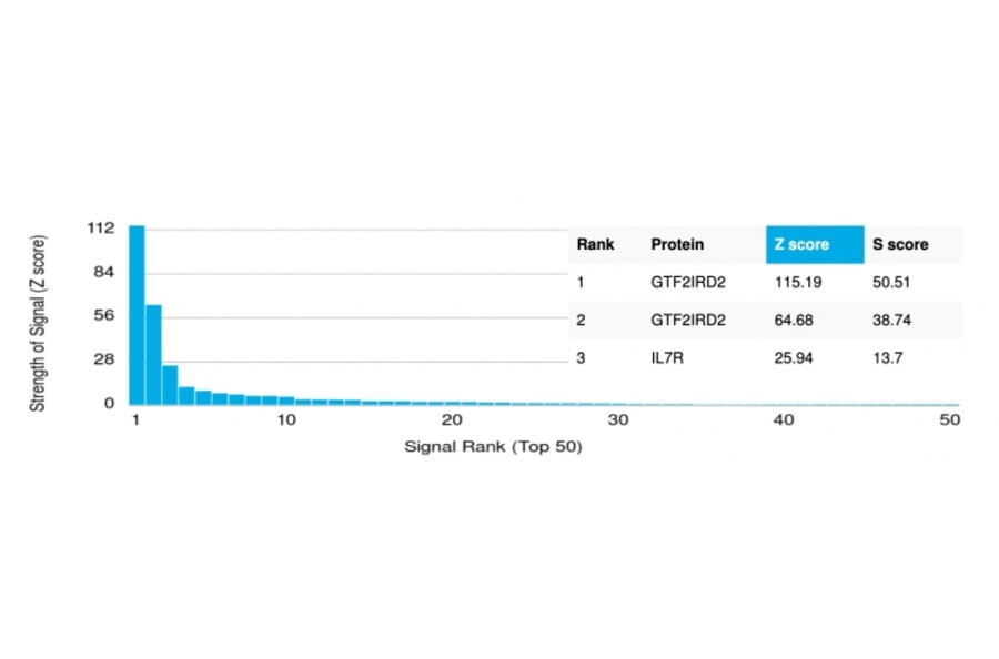 Protein Array - Anti-GTF2IRD2 Antibody [PCRP-GTF2IRD2-1B4] (A250414) - Antibodies.com