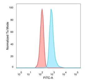 Flow Cytometry - Anti-RHOXF2 Antibody [PCRP-RHOXF2-1D7] (A250417) - Antibodies.com