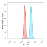 Flow Cytometry - Anti-p63 Antibody [TP63/2428] (A250431) - Antibodies.com