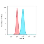 Flow Cytometry - Anti-p40 Antibody [TP40/3980R] (A250431) - Antibodies.com