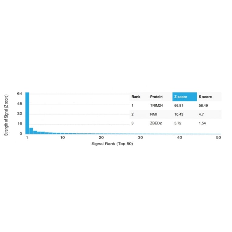 Protein Array - Anti-TIF1 alpha Antibody [PCRP-TRIM24-1B12] (A250441) - Antibodies.com