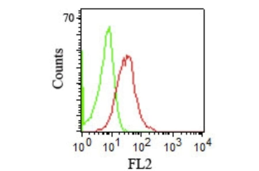 Flow Cytometry - Anti-CD1b Antibody [RIV12] (A250476) - Antibodies.com